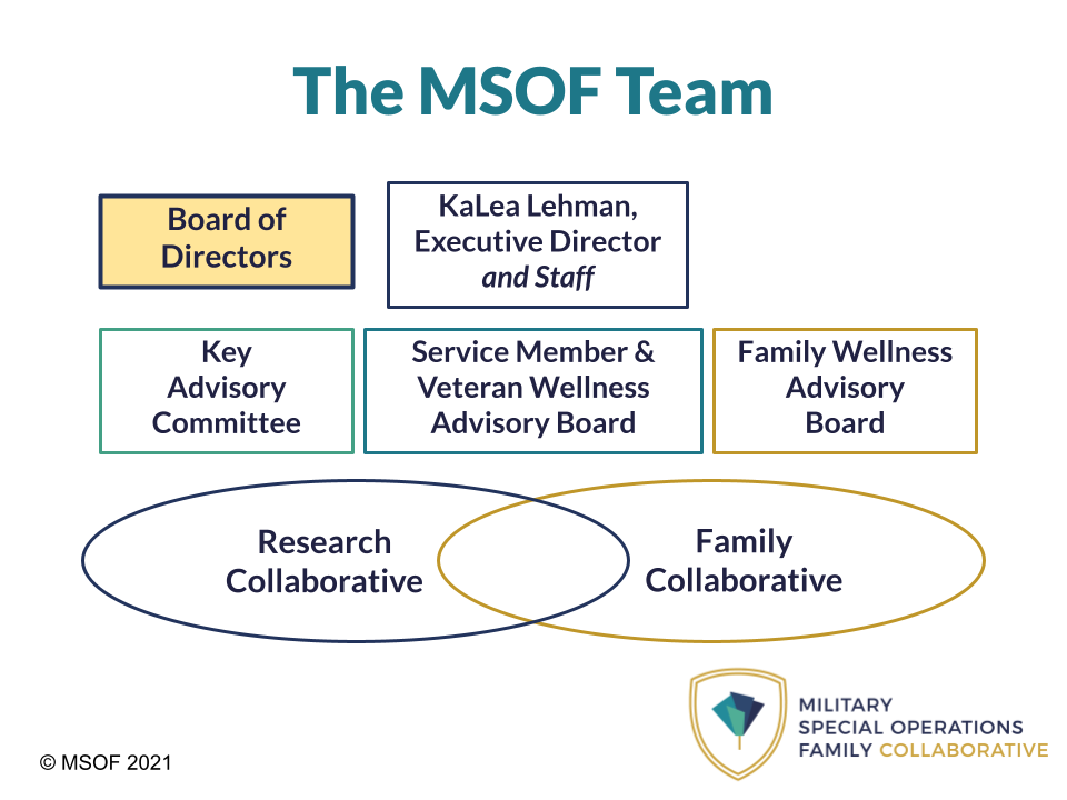 MSOF Organizational Structure